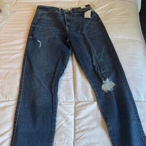 High Rise Jeans Curvy 5/27